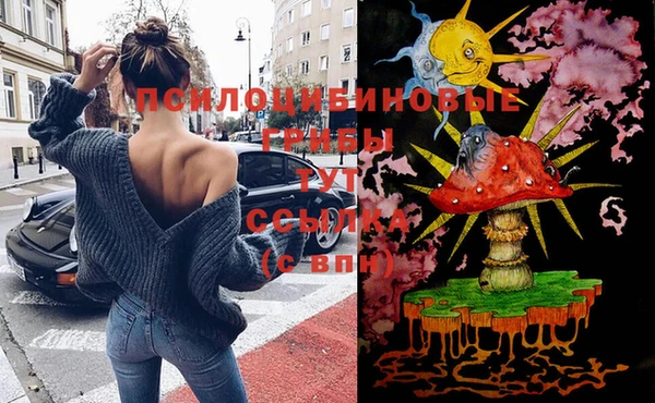 скорость Вязьма